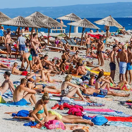 With Wifi - 13878 スプリト